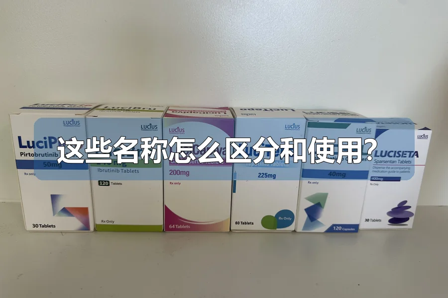 这些名称怎么区分和使用?
